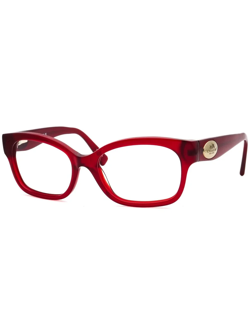 Coach HC 6071 5029 Eyewear